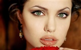 Angelina Jolie fond d'écran #24