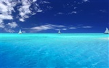 아름다운 해변의 풍경의 HD 배경 화면 #16