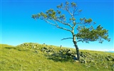 Hermoso paisaje natural en Siberia #5