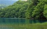 夏日北海道郊外风景8