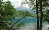 夏日北海道郊外风景9