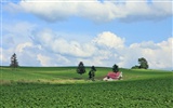 paysage de campagne Hokkaido #10