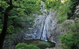 夏日北海道郊外风景12