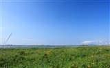 夏日北海道郊外风景13