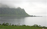 夏日北海道郊外风景14