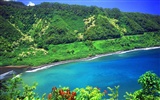 paisaje playa de Hawai #6