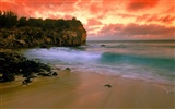 Hawaiianischer Strand Landschaft #7