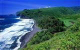 Hawaiianischer Strand Landschaft #9