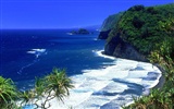 paisaje playa de Hawai #5492