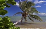paisaje playa de Hawai #13