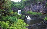 하와이안 비치 풍경 #15