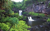 paysages plage hawaïenne #15