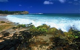 paisaje playa de Hawai #19