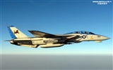 米海軍F14キーTomcatの戦闘機 #9