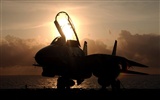 U. S. Navy F14 Tomcat bojovník #11