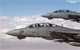 U. S. Navy F14 Tomcat Kämpfer #13