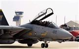 U. S. Navy F14 Tomcat bojovník #14