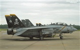 U. S. Navy F14 Tomcat Kämpfer #15