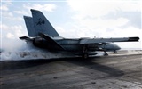 米海軍F14キーTomcatの戦闘機 #16