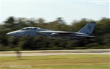 Estados Unidos Armada de combate F14 Tomcat #18