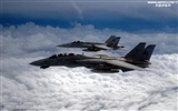 美國海軍F14雄貓戰鬥機 #19