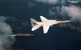 U. S. Navy F14 Tomcat Kämpfer #22
