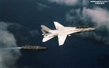 U.S. Navy F14 Tomcat fighter #22