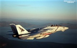 U.S. Navy F14 Tomcat fighter #26