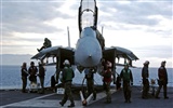 Estados Unidos Armada de combate F14 Tomcat #41