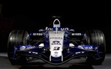 F1 Racing HD Wallpapers Album #26