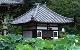 Kyoto, Japón, Fondos de Paisaje