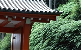 Kyoto, Japonsko, Krajina Tapety #6