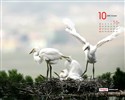 YAHOO Corea del Sur en octubre Calendario Escénicas #8