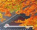 YAHOO Jižní Korea v říjnu Scénické Kalendář #16