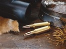 Remington-Tapete #3