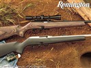 Remington-Tapete #6