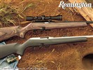 Remington firearms wallpaper #6