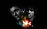 Supernatural fondo de pantalla (2) #4