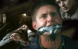 Fond d'écran Supernatural (3) #7