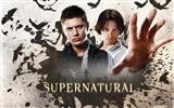 Fond d'écran Supernatural (3) #32