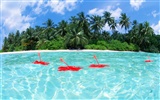 ciel bleu de l'eau aux Maldives et