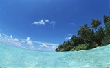 Malediven Wasser und blauer Himmel #7