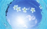 ciel bleu de l'eau aux Maldives et #9
