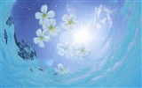 ciel bleu de l'eau aux Maldives et #10