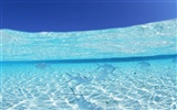 Malediven Wasser und blauer Himmel #23