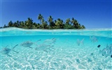 Malediven Wasser und blauer Himmel #6923