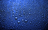 水的韻律壁紙專輯 #39