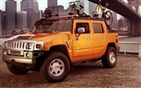 Hummer disco fondo de pantalla (1) #7