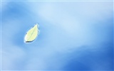 Fresh green leaf wallpaper (1) #19