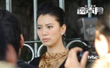 TVB의 포춘 게이트 바탕 화면 #4